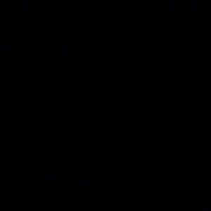 Meet your Posher, Bryn